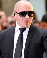 Pitbull